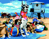 Картина за номерами Песики на пляжі 40х50 см ART Line ZB.64240 фото